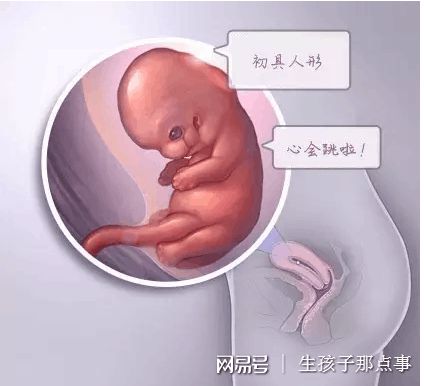 试管代怀生子助孕代妈